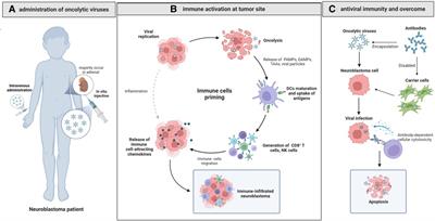 Progress of oncolytic virotherapy for neuroblastoma